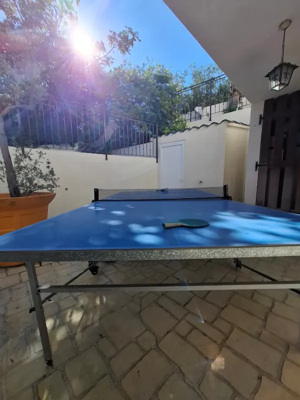 table ping pong carry